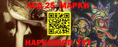 гидропоника Будённовск