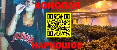 гидропоника Будённовск