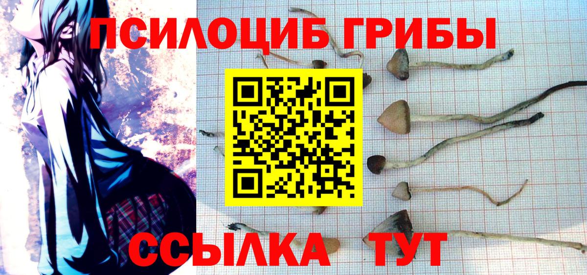Псилоцибиновые грибы ЛСД Янаул